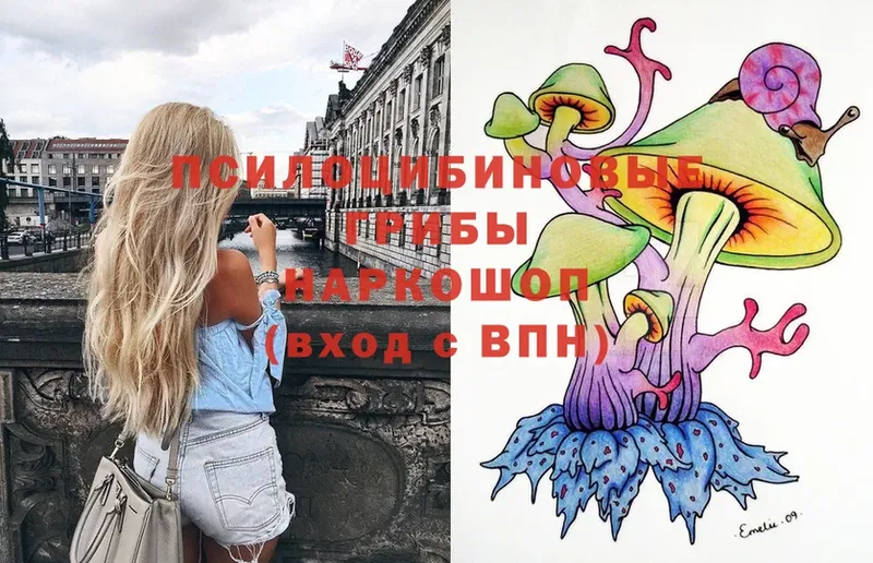 Псилоцибиновые грибы Psilocybe  omg   Верхняя Тура 